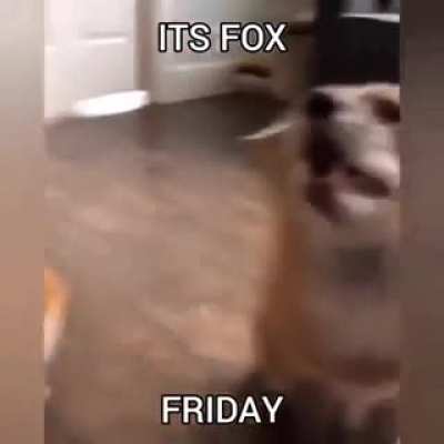 Fox Friday