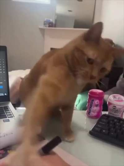 you are not allowed to work today