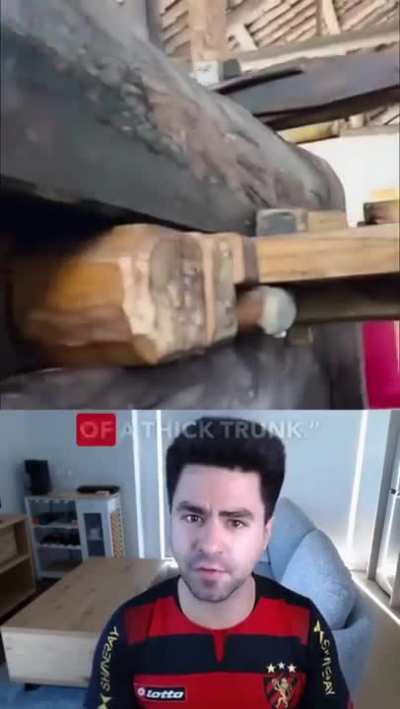 Poor tree (Heil spez)
