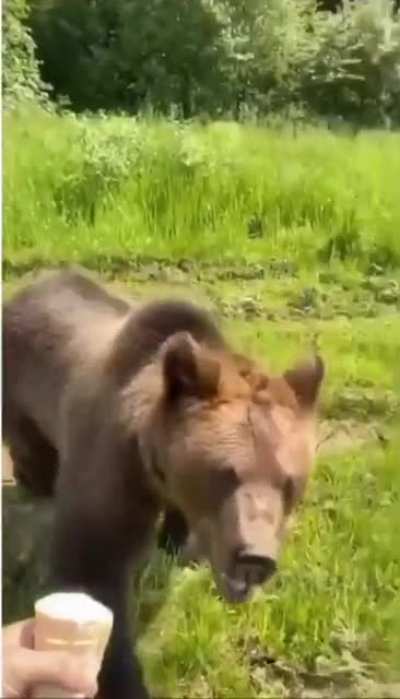 Отстань