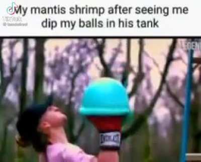 💪🏻💪🏻💪🏻