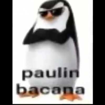 Paulin...