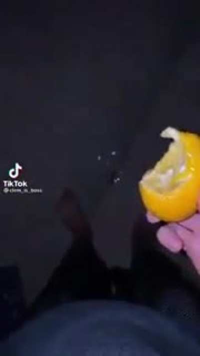 lemon