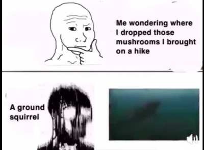 Ar ar ar ar 🗿