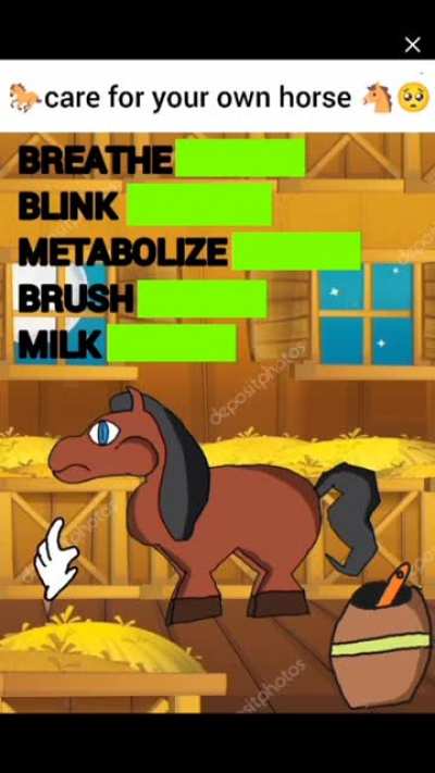 this is my horse