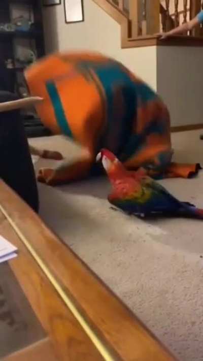 aaaaaaaaaaaaaaaaa