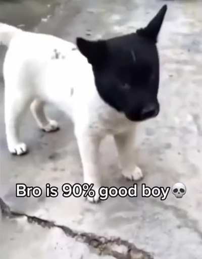 90% 💀 💀 💀