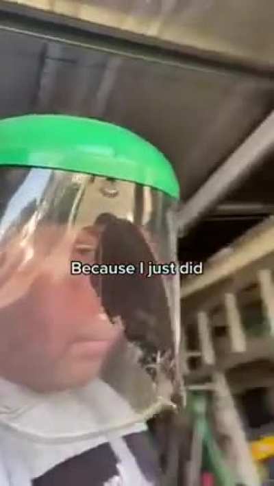 Wear a helmet