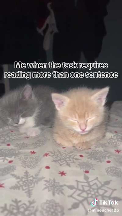 Eepy wunks