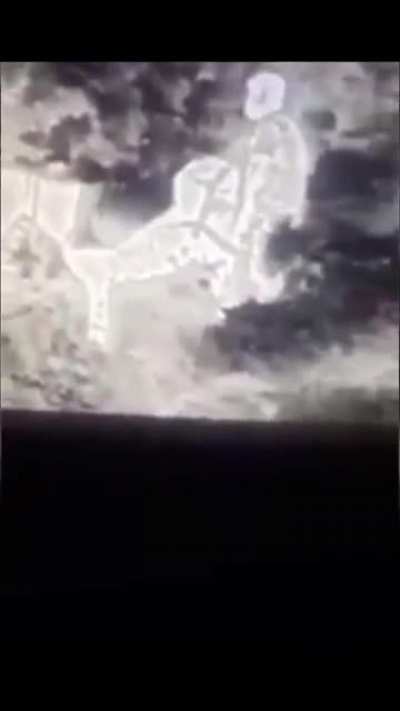 Şerefsiz Kürt asdasdaıds