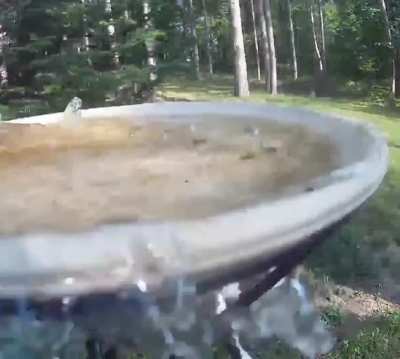 To have a drink.