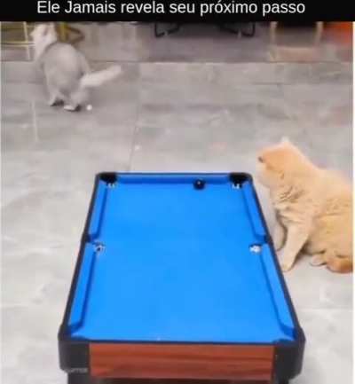 O 