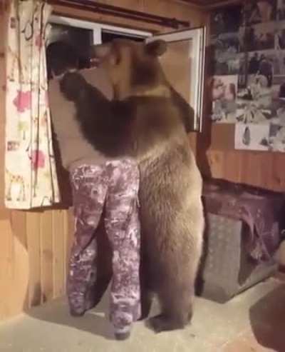 Animal Being Bro