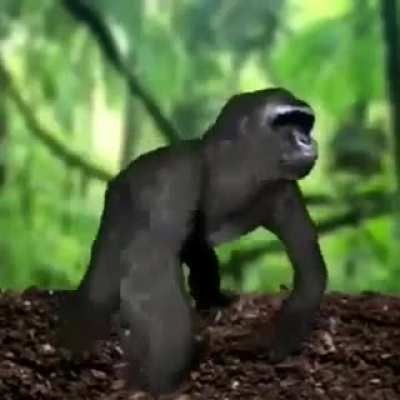 cube monkey