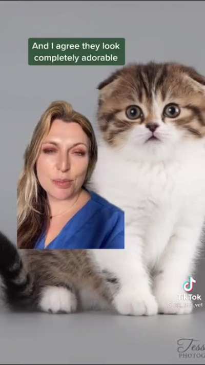Vet has a series on why pets that people think are cute are actually not