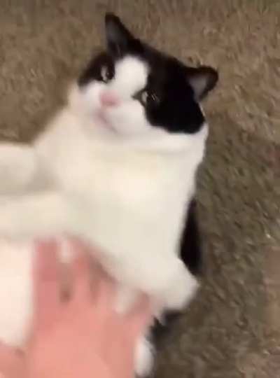Let me just sit on you