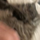 ahhhh
