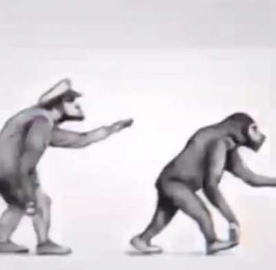 AuthRights after returning to monke...