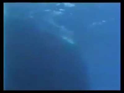 This video of a submarine sonar going off scares the crap out of me everytime I watch it