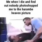 GODAMMIT!