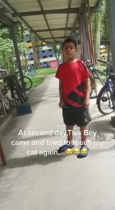 Other car owner Caught this kid next day