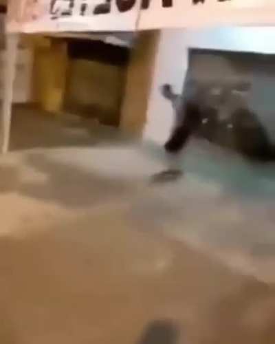 Hilarious falling moment