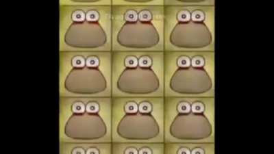 pou_irl