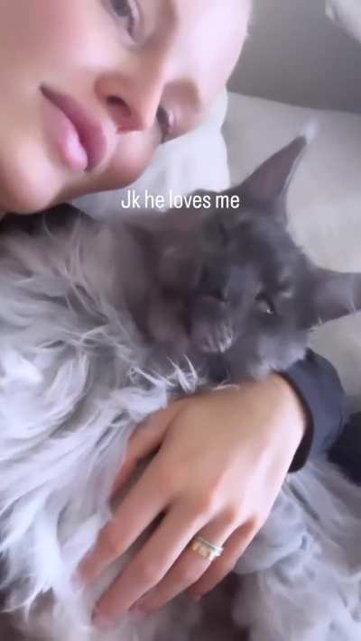 Instagram Story cat video 2024-05-26