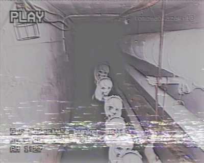 Recently we've noticed activity in your bunker, your Highness. We've gathered the footage and found the culprit