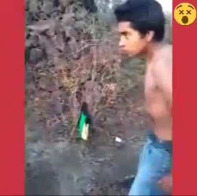 Video que forma parte del patrimonio cultural de México lindo y querido