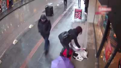 This woman gives her scarf to the dog so that it doesn't get cold,