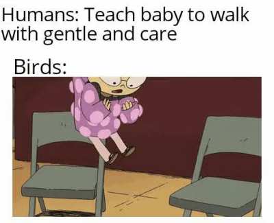 Just fly away you little kid