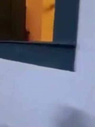 Visão