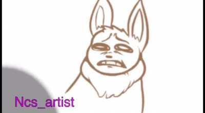 Furry_irl