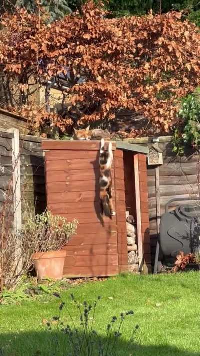 Your territory has been taken