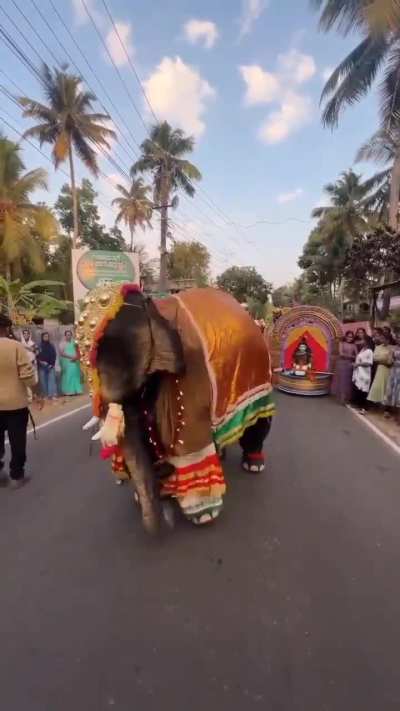 Nammadey aaana inganeyalaaaa..😭😭🐘🐘🐘