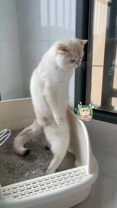 Nothing to see here