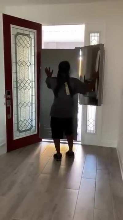 This perfectly executed technique to move the fridge