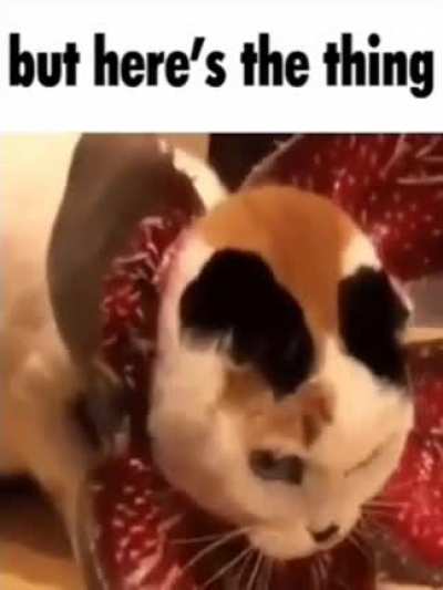 epic