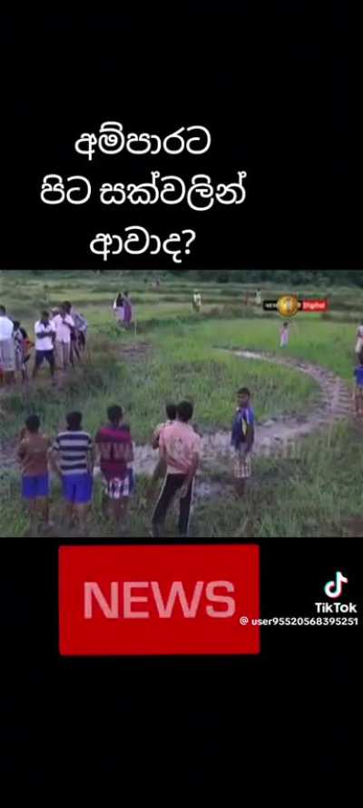 එක්ස් පයිල්ස්