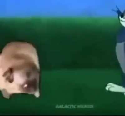 Bonk 