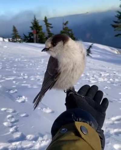 The ending touched my soul...
