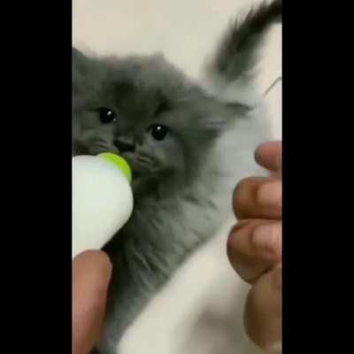 Aww look at her Moving ears !!