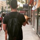Carry me hooman
