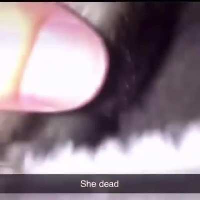 Good Ending she Wake up
