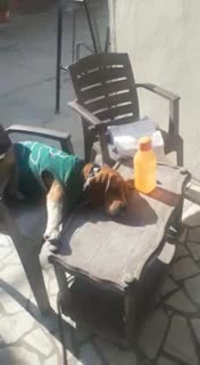 Sun tanning...