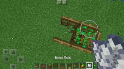 A working rabbit trap