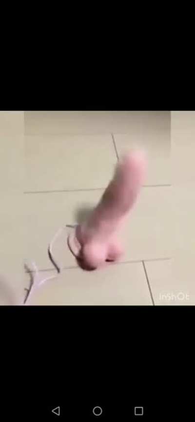 Dancing dildo