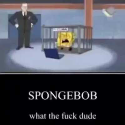 WHAT THE HECKK SPONGBOG!!!1! I didn't know you were a minecraft youtuber!