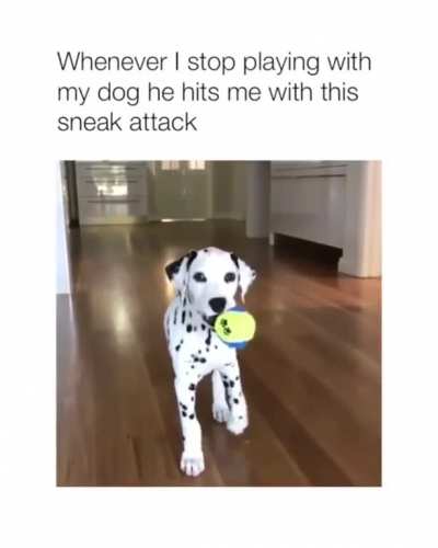 Sneak: 100